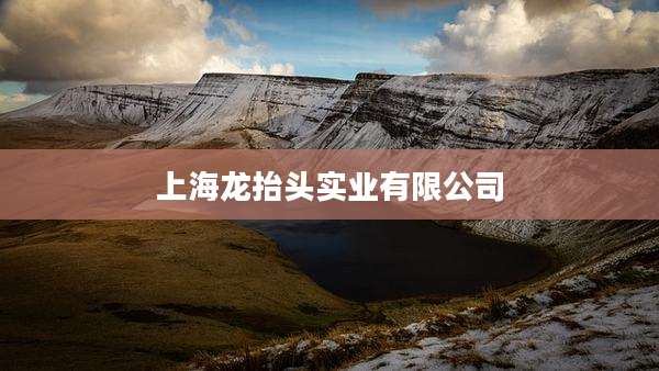 上海龙抬头实业有限公司