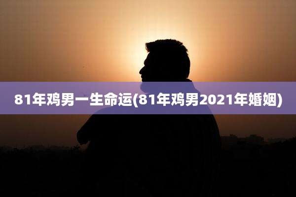 81年鸡男一生命运(81年鸡男2021年婚姻)