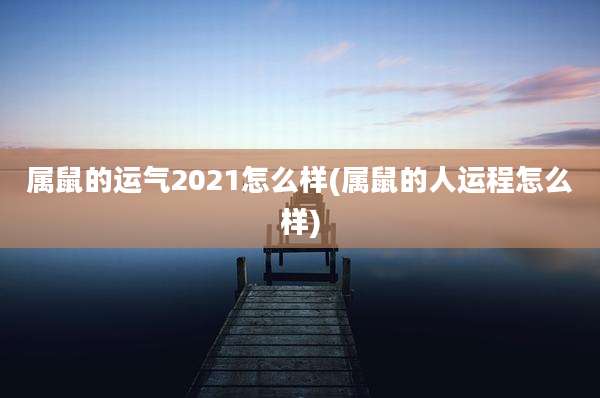 属鼠的运气2021怎么样(属鼠的人运程怎么样)