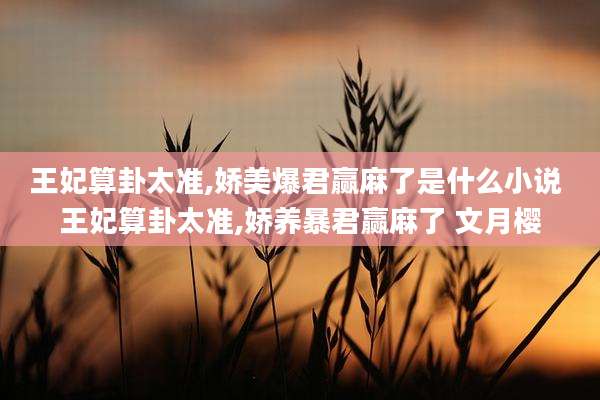 王妃算卦太准,娇美爆君赢麻了是什么小说 王妃算卦太准,娇养暴君赢麻了 文月樱