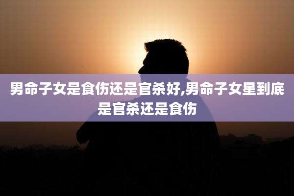 男命子女是食伤还是官杀好,男命子女星到底是官杀还是食伤