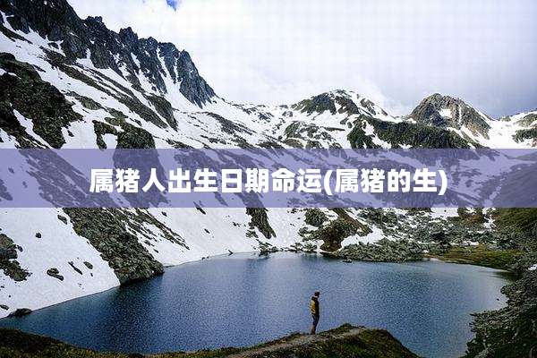 属猪人出生日期命运(属猪的生)