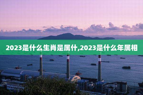 2023是什么生肖是属什,2023是什么年属相