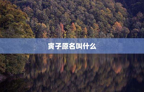 寅子原名叫什么
