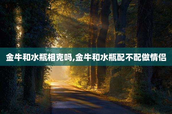 金牛和水瓶相克吗,金牛和水瓶配不配做情侣