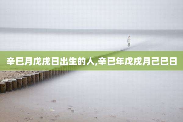 辛巳月戊戌日出生的人,辛巳年戊戌月己巳日