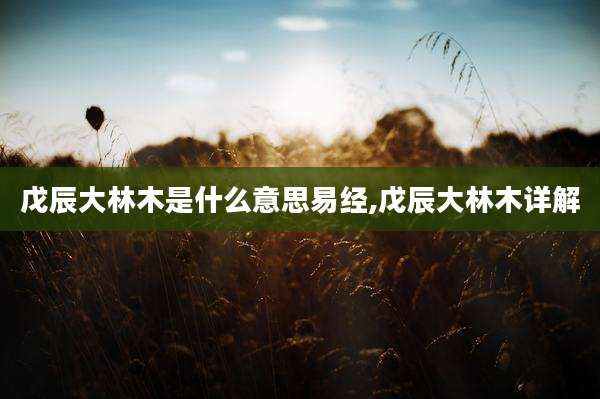 戊辰大林木是什么意思易经,戊辰大林木详解