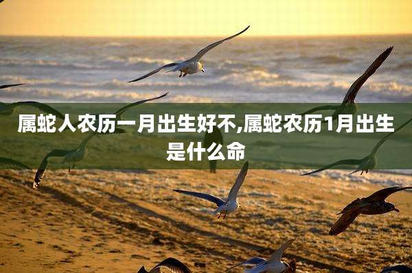 属蛇人农历一月出生好不,属蛇农历1月出生是什么命