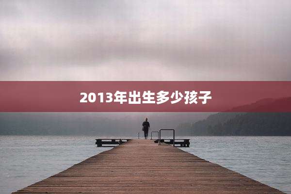 2013年出生多少孩子