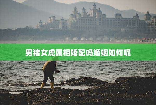 男猪女虎属相婚配吗婚姻如何呢