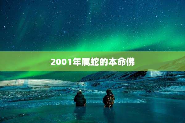 2001年属蛇的本命佛