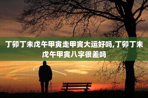 丁卯丁未戊午甲寅走甲寅大运好吗,丁卯丁未戊午甲寅八字很差吗
