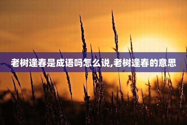 老树逢春是成语吗怎么说,老树逢春的意思