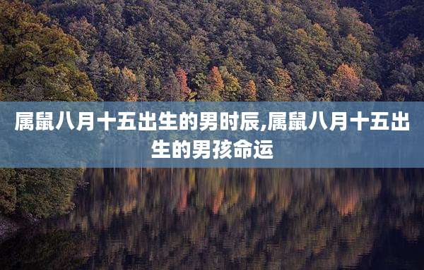 属鼠八月十五出生的男时辰,属鼠八月十五出生的男孩命运
