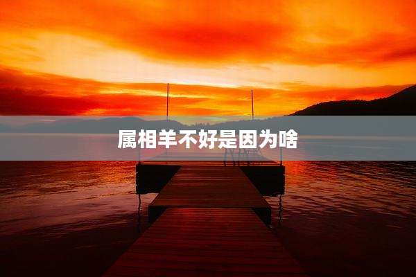 属相羊不好是因为啥