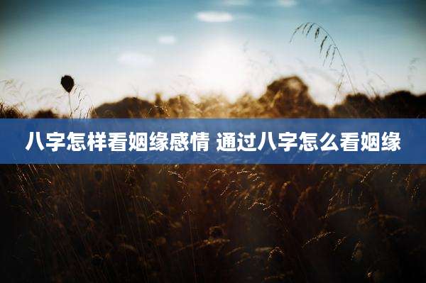 八字怎样看姻缘感情 通过八字怎么看姻缘