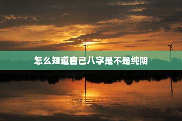 怎么知道自己八字是不是纯阴