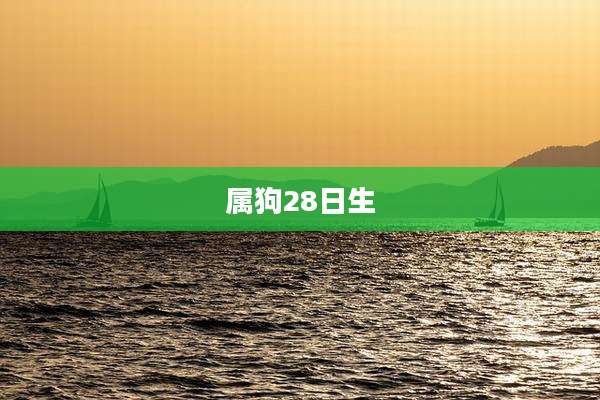 属狗28日生