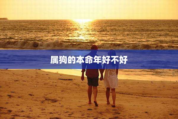 属狗的本命年好不好