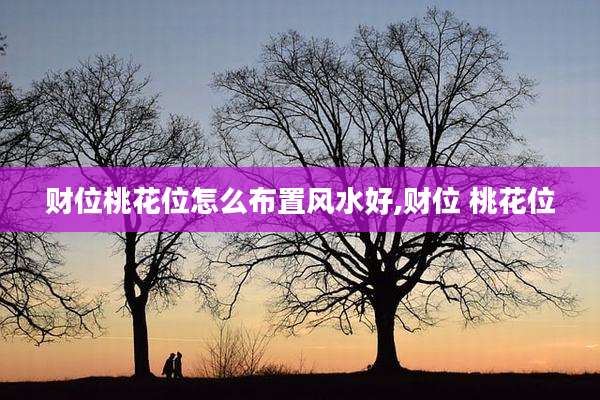 财位桃花位怎么布置风水好,财位 桃花位
