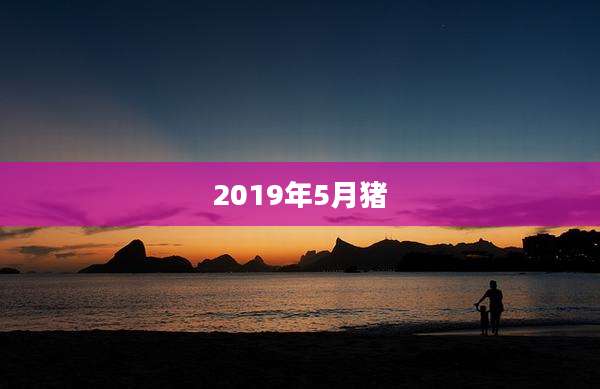 2019年5月猪