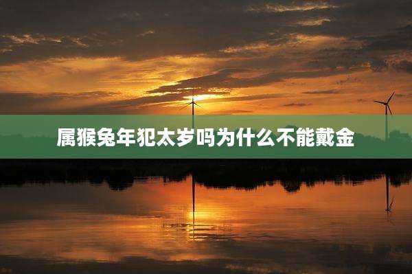 属猴兔年犯太岁吗为什么不能戴金
