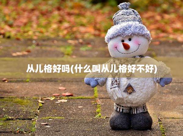 从儿格好吗(什么叫从儿格好不好)