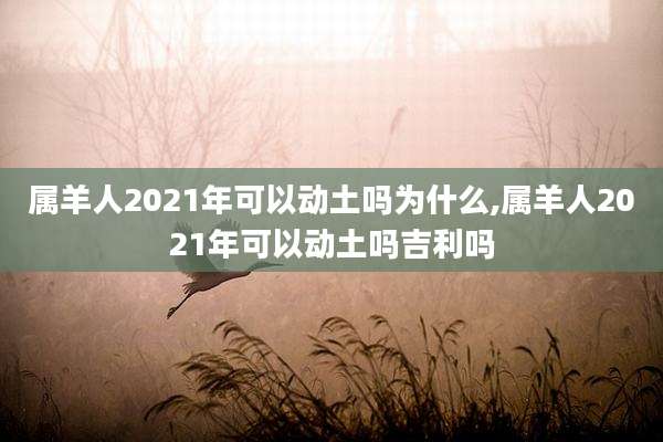 属羊人2021年可以动土吗为什么,属羊人2021年可以动土吗吉利吗