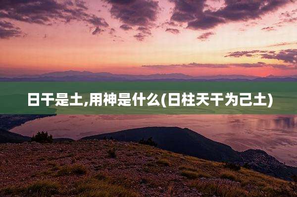 日干是土,用神是什么(日柱天干为己土)