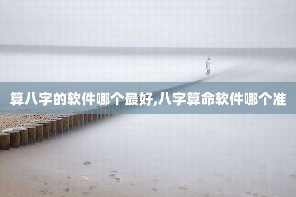 算八字的软件哪个最好,八字算命软件哪个准