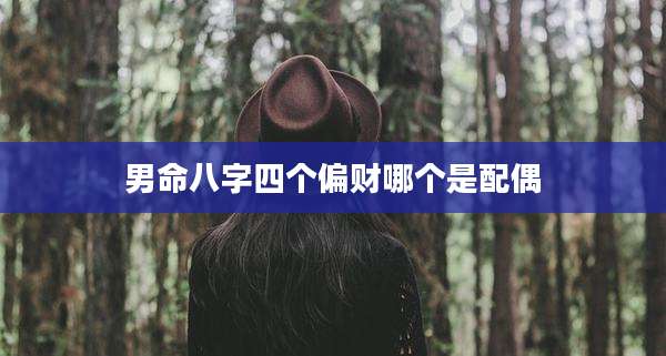 男命八字四个偏财哪个是配偶