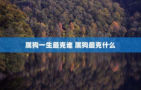 属狗一生最克谁 属狗最克什么