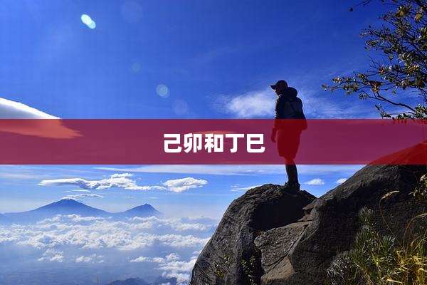 己卯和丁巳