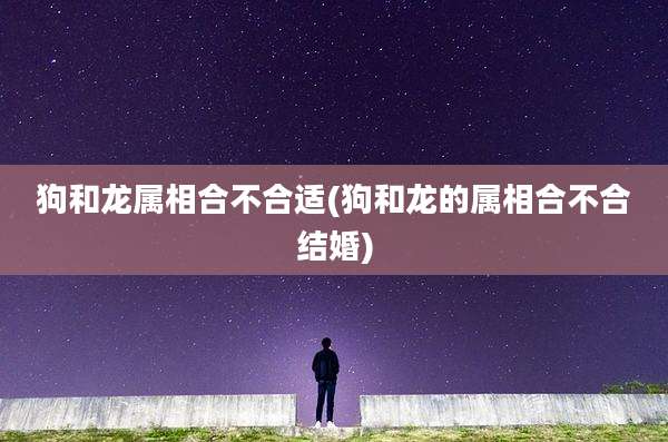 狗和龙属相合不合适(狗和龙的属相合不合结婚)
