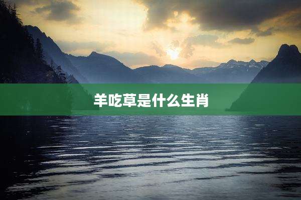 羊吃草是什么生肖