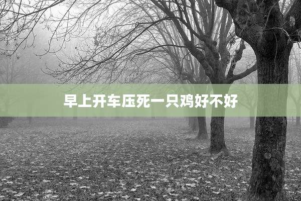 早上开车压死一只鸡好不好