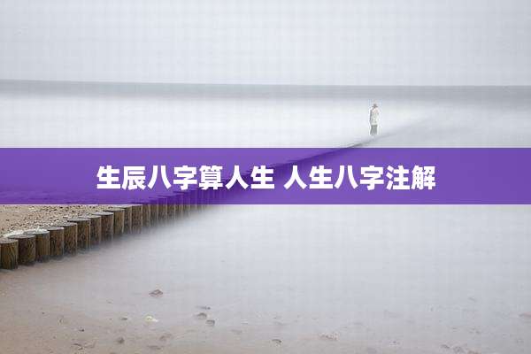 生辰八字算人生 人生八字注解