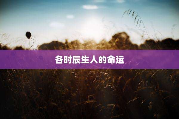 各时辰生人的命运