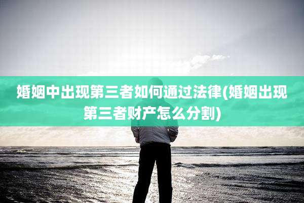 婚姻中出现第三者如何通过法律(婚姻出现第三者财产怎么分割)