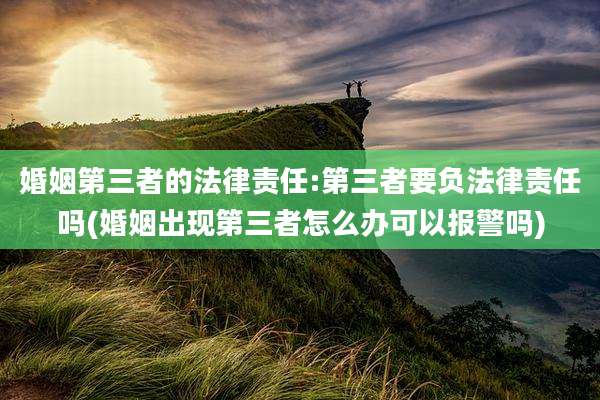 婚姻第三者的法律责任:第三者要负法律责任吗(婚姻出现第三者怎么办可以报警吗)