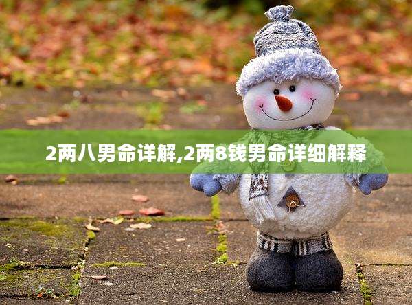 2两八男命详解,2两8钱男命详细解释