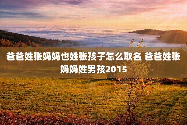 爸爸姓张妈妈也姓张孩子怎么取名 爸爸姓张妈妈姓男孩2015