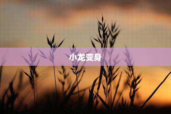 小龙变身