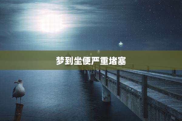 梦到坐便严重堵塞