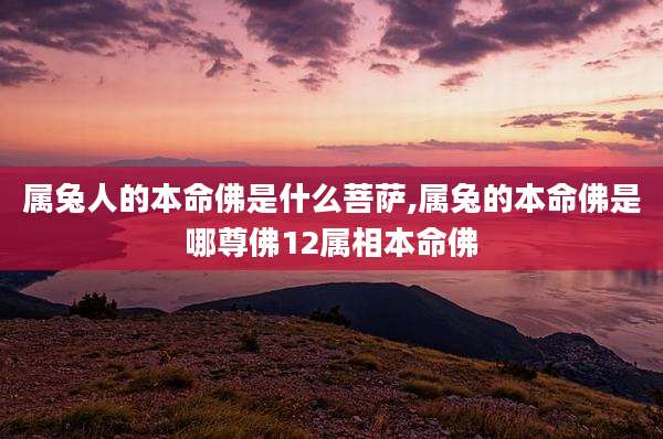 属兔人的本命佛是什么菩萨,属兔的本命佛是哪尊佛12属相本命佛