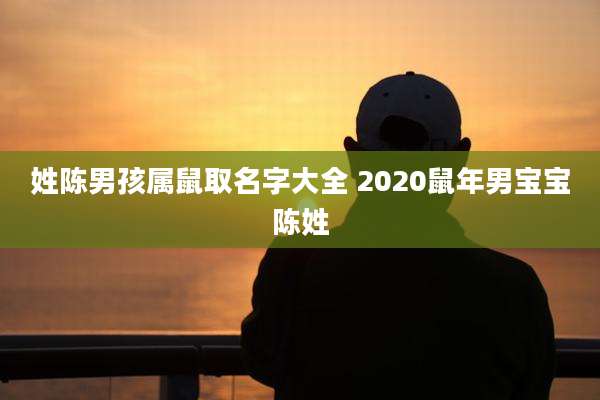 姓陈男孩属鼠取名字大全 2020鼠年男宝宝陈姓