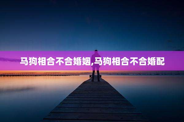 马狗相合不合婚姻,马狗相合不合婚配