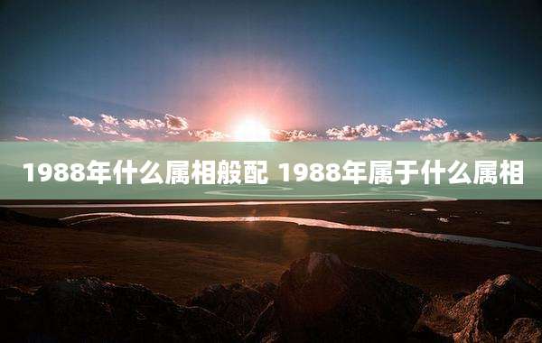 1988年什么属相般配 1988年属于什么属相