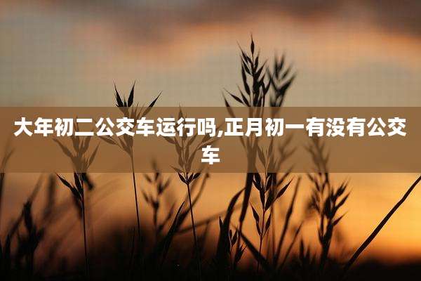 大年初二公交车运行吗,正月初一有没有公交车
