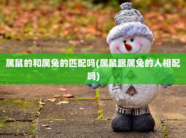 属鼠的和属兔的匹配吗(属鼠跟属兔的人相配吗)